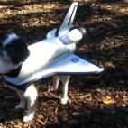 5c8aec533b000070066cca35