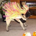 5c8aec5422000051001a190f