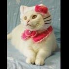 (vía vía DBA-Oracle)