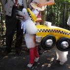 5c8aec562400004205a3e845