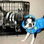 (vía who-sucks.com)