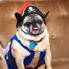 5c8aec5f2400006d054cac90