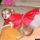 vía hoda Bleik Bizri