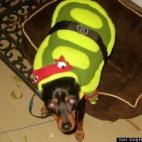 vía EmilyElizabethClifford