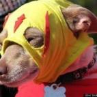 vía brokenimagination