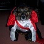 vía David Um Nakase