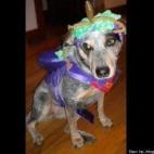 vía HuffPost Blogger Katie Tate: