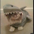 vía Jerrod Lemaster