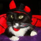 5c8aec74360000a61b6c4999