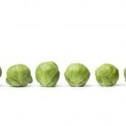 Ideales para las personas que sufran retención de líquidos. También actúan contra el estreñimiento (por su fibra) y tienen propiedades antioxidantes y antiinflamatorias.