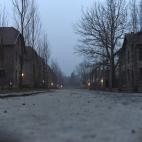 5c8b245b24000093024cf68e