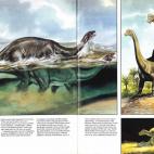 (Sandy Fritz / Ron Embleton / Omni Magazine)