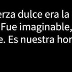 5c8b21652000004504703909