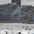 Surfistas en Las Canteras (Gran Canaria)