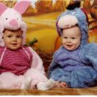 via Flickr: eatantsnotturtles