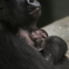 5c8b11862400006b054cc772