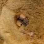 5c8b11873b000070066ce5cb