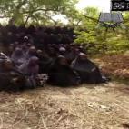 5c8a9de22500000704c94801