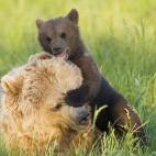 5c8b11883b000072066ce5cd