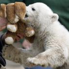 5c8b11883b000070066ce5cf