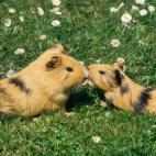 5c8b11892400004205a403db