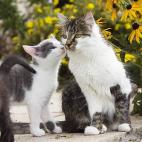 5c8b11892300007f01240876