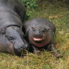 5c8b11892400006d054cc778