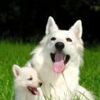 5c8b118a360000c81a6c63fe