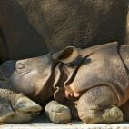 5c8b118a2400006b054cc77a