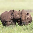 5c8b118b22000051001a34c2