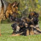 5c8b118b2400006b054cc77c