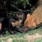 5c8b118b2500001304c9f87e