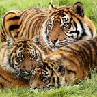 5c8b118c3b000072066ce5d7