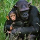 5c8b118c360000ba1a6c6406