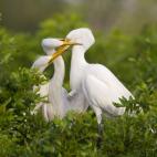 5c8b118d230000d50424087c