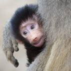 5c8b118d2500000d04c9f881