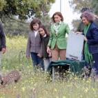 5c8a3df42400000a05a2d316