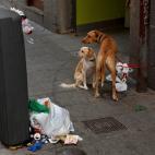 5c8aed8e20000045046ff899