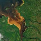 30 de julio de 2016.