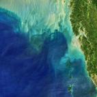 29 de noviembre de 2019.