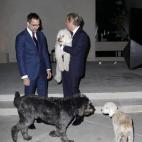 5c8b1605250000e203ca0177