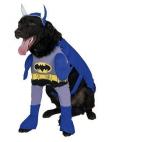 5c8b31b03b000054066d3309