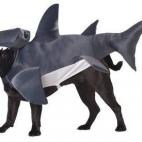 5c8b31b12400000a05a45256