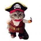 5c8b31b1360000a61b6cb1f3