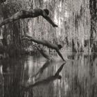 5c8a52ff2400006b054bb786