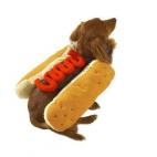 5c8b31b1250000e203ca470d