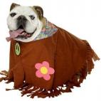 5c8b31b2360000ba1a6cb1f5