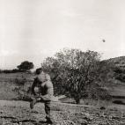 5c8a530120000043046f042b