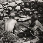 5c8a5302260000e104fe3504