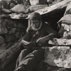 5c8a53053b000070066bd7b9